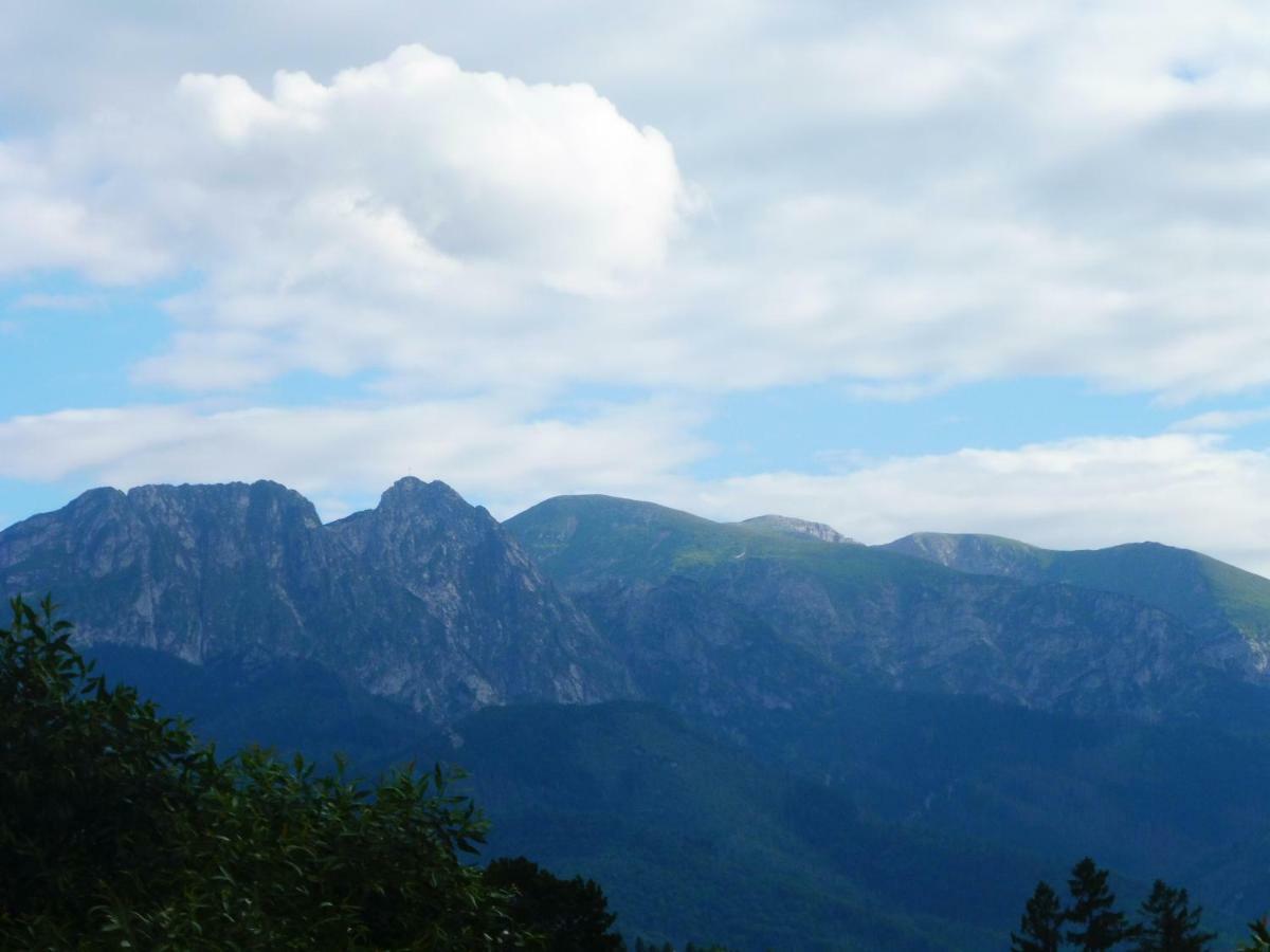 Apartamenty Folk Dream Harenda Zakopane Buitenkant foto