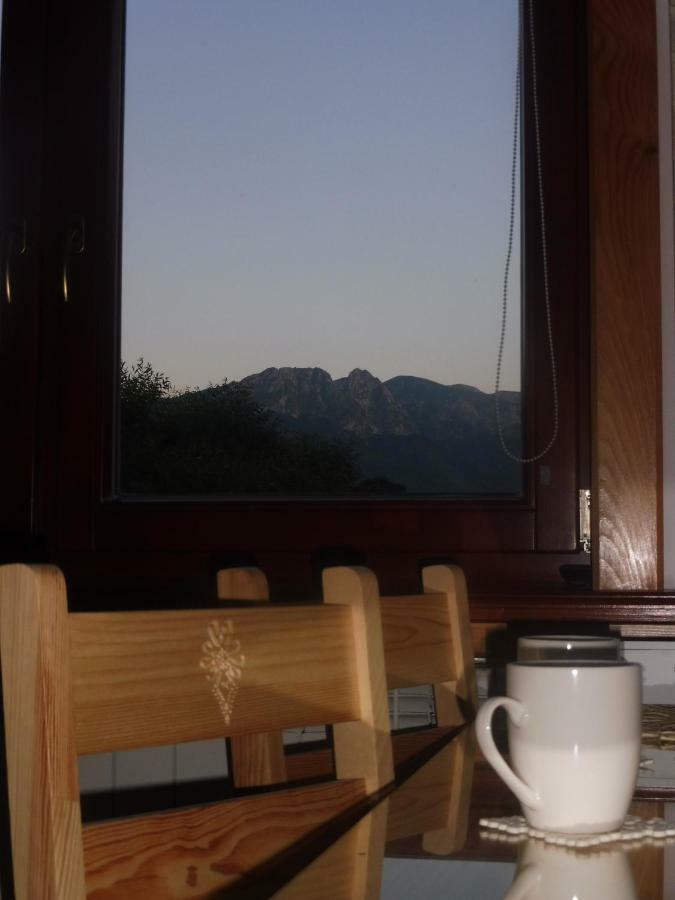 Apartamenty Folk Dream Harenda Zakopane Buitenkant foto